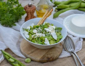 Salade de fèves, brousse de chèvre et basilic