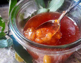 Confiture de prunes sauvages