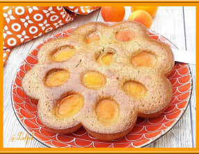 Moelleux aux abricots