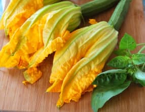 Fleurs de courgettes farcies