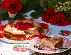 Cheese cake aux coquelicots