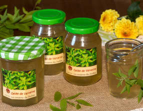 Gelée de verveine