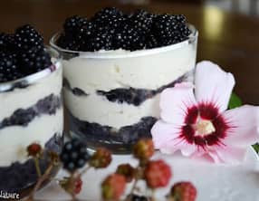 Verrines aux mûres et au mascarpone vanillé façon tiramisu