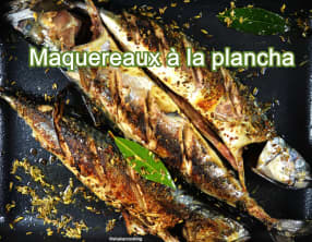 Maquereaux à la plancha