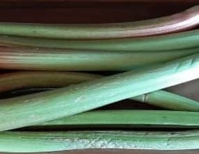Comment conserver de la rhubarbe fraîche du jardin ?