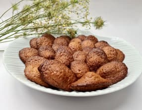 Madeleines au miel