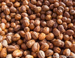 Tarte au Bleu du Vercors, poires et noix
