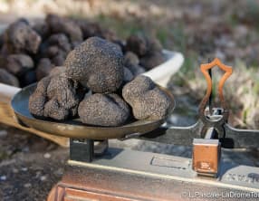 Risotto à la truffe et Saint-Jacques poêlées à la fleur de sel
