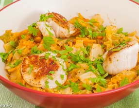 Saint jacques au chou blanc