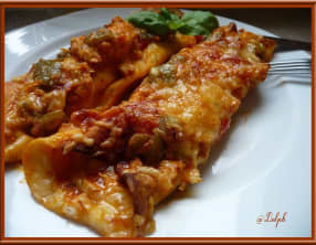 Enchiladas gratinées au poulet