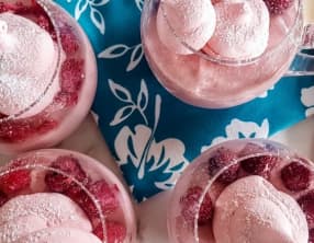 Mousse au tofu soyeux et aux framboises