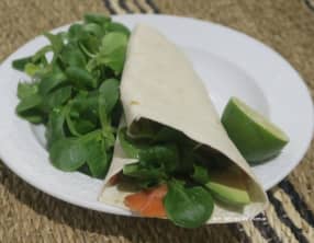 Wraps au saumon fumé, avocat et St-Môret aux câpres