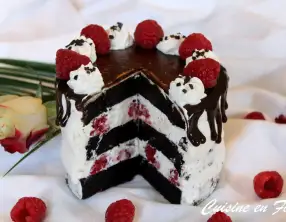 Layer cake choco-framboise