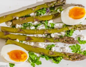 Salade d’asperges vertes aux herbes et aux oeufs