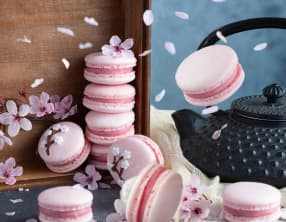 Macarons Sakura