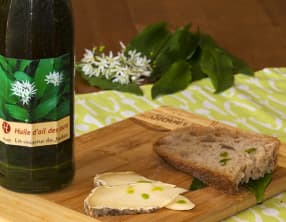 Huile à l'ail des ours