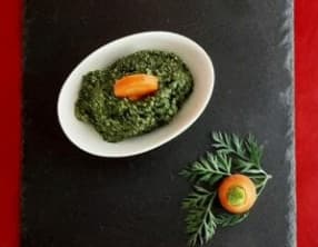 Pesto de fanes de carottes