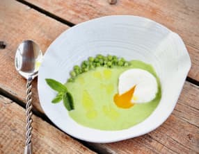 Velouté de petits pois à la menthe, œuf mollet