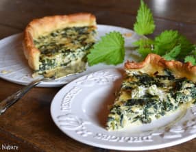 Quiche aux orties et à l'ail des ours