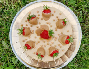 Entremets au chocolat Dulcey