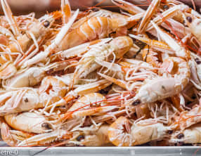 Cuisson des langoustines