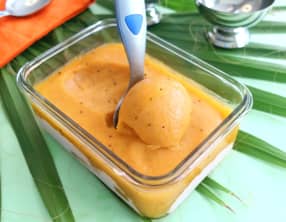 Le Sorbet Exotique de l’école Ferrandi