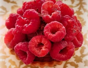 Tartelettes framboises et ganache montée chocolat noir