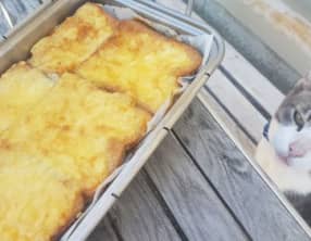 Croques et paninis sans soucis