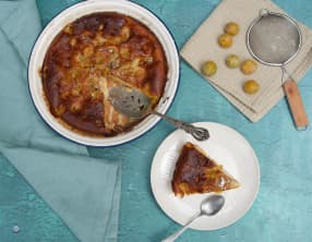 Tôt-fait aux mirabelles