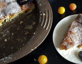 Clafoutis aux mirabelles