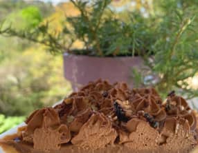 La tarte croustillante au café