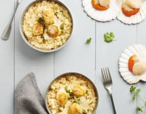 Risotto crémeux de Saint-Jacques safrané, vin blanc et parmesan