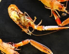 Langoustines grillées au four