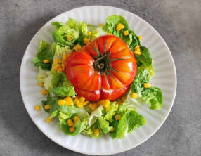 Tomate crue farcie au thon