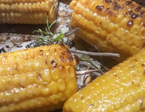 Epis de maïs grillés au four