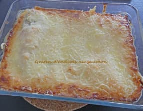 Gratin d'endives au saumon