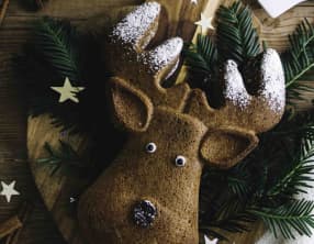 Gâteau renne aux épices