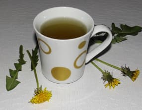 Tisane detox de pissenlit 