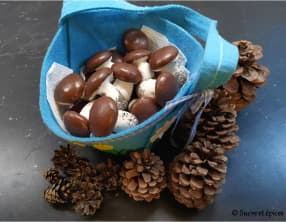 Des champignons pas comme les autres