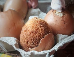 Œufs de Pâques en coquilles