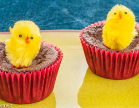 Moelleux au chocolat de Pâques