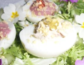 Œufs mimosa au thon