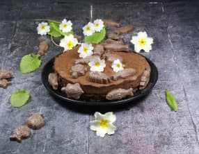 Gâteau tout chocolat