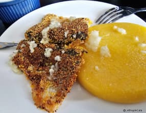 Bar poêlé à la farine de mais