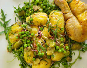 Salade de pommes de terre avec vinaigrette à la moutarde de Gordon Ramsay