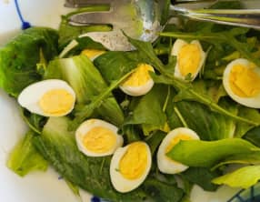 Salade de cicorino italien