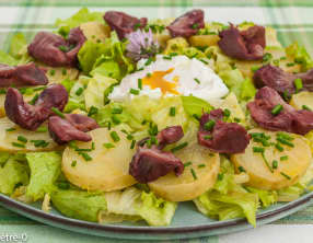 Salade de pommes de terre nouvelles aux gésiers et œufs pochés