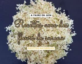 Vin à la fleur de sureau