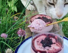 Crème de mûres au tofu soyeux