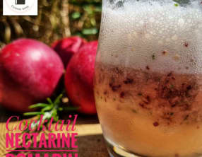 Cocktail nectarine et romarin, avec ou sans alcool